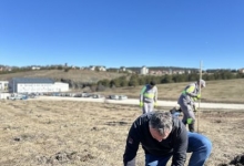 Зеленији Златибор за нове генерације – Заједно садимо будућност!