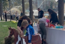 „Зоохигијена“ покренула едукације о заштити коња и правилној бризи о животињама