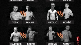 Poster MMA